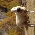 Evelyne By Interhome Apartamento Saas Fee