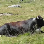 Evelyne By Interhome Apartamento