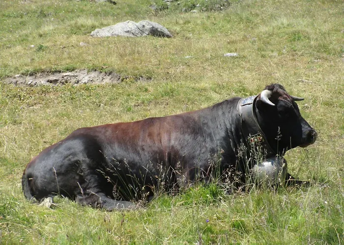 Evelyne By Interhome 公寓