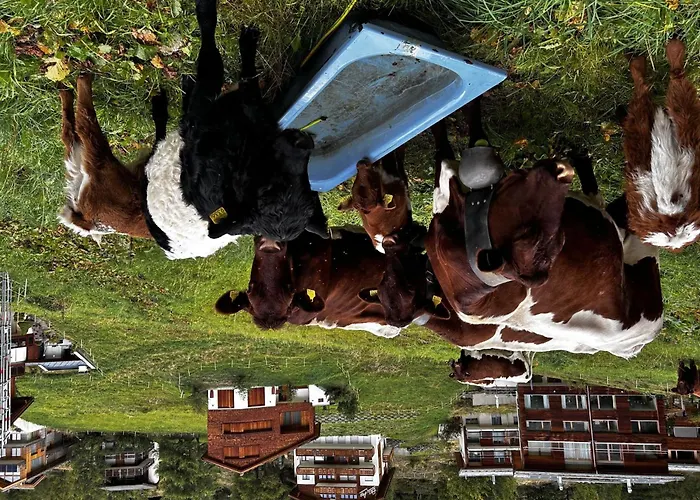 Evelyne By Interhome 公寓 *